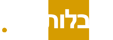 הובלות אדי גנג 052-3657818
